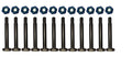 Titanium Bumper Bolt Kit