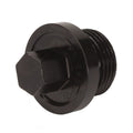 Side Cover Inspection Plugs - Side Cover Inspection Plug-Big (large)