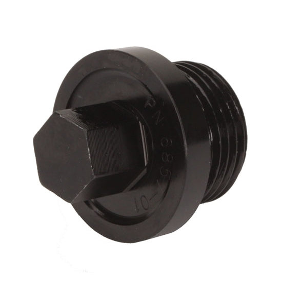 Side Cover Inspection Plugs - Side Cover Inspection Plug-Big (large)